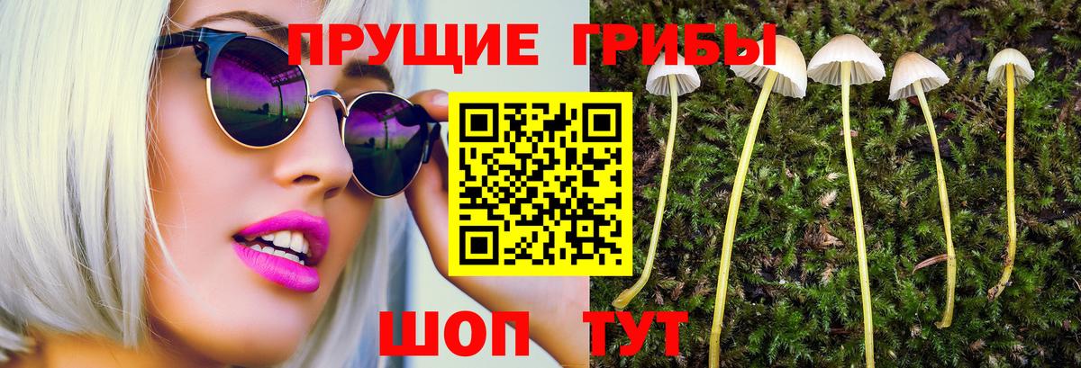 Галлюциногенные грибы Psilocybine cubensis  Псилоцибиновые грибы Magic Shrooms  Чапаевск  наркотики  Вход с VPN 