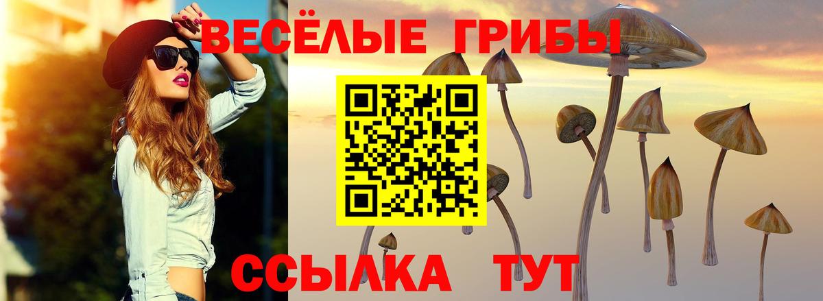 Псилоцибиновые грибы Psilocybine cubensis Чапаевск
